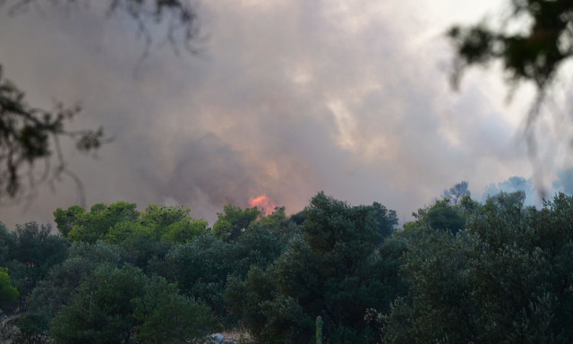 Φωτιά σε χαμηλή βλάστηση στον Ασπρόπυργο – Τέθηκε γρήγορα υπό έλεγχο