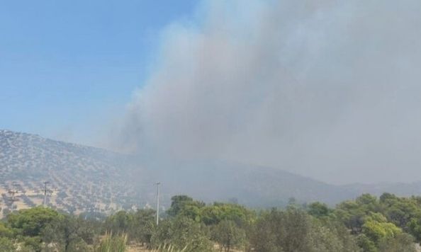 Φωτιά τώρα στο Λαύριο – Μεγάλη κινητοποίηση της Πυροσβεστικής, επιχειρούν και εναέρια μέσα