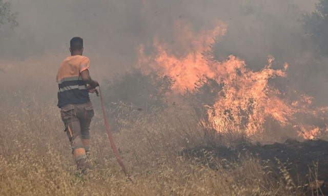 Κατεσβέση σε 20 λεπτά η πυρκαγιά στην Κάτω Δαμάστα Φθιώτιδας