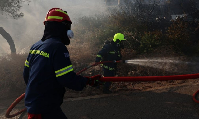 Πυρκαγιά στην Πρέβεζα - Ήχησε το 112 για επιφυλακή Νεοχώρι