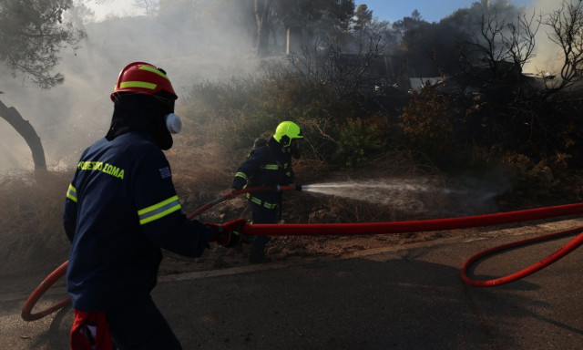Οριοθετήθηκε η φωτιά σε αγροτοδασική έκταση στην Ηλεία