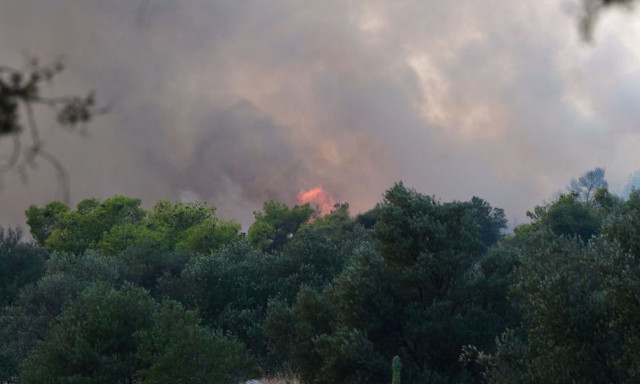 Πυρκαγιά στη Λάρισα - Καίει δασική έκταση στο Λιβάδι Ελασσόνας