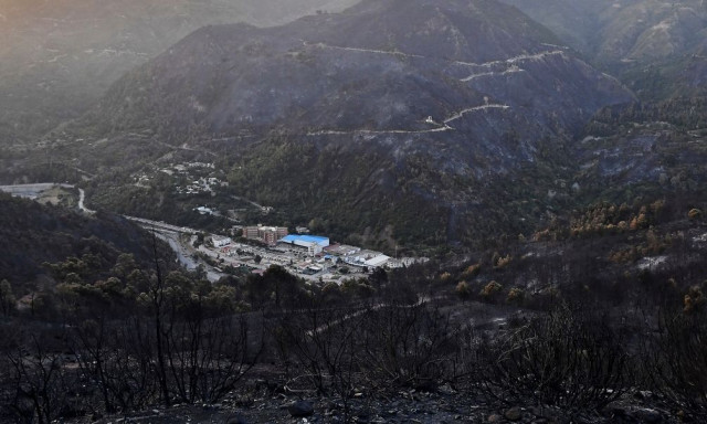 Αλγερία: Τουλάχιστον 12 νεκροί από δασικές πυρκαγιές - Ένα αγόρι 8 ετών ανάμεσά τους