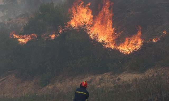 Χαλκιδική: Απαγόρευση κυκλοφορίας σε δασικές περιοχές λόγω υψηλού κινδύνου εκδήλωσης πυρκαγιάς