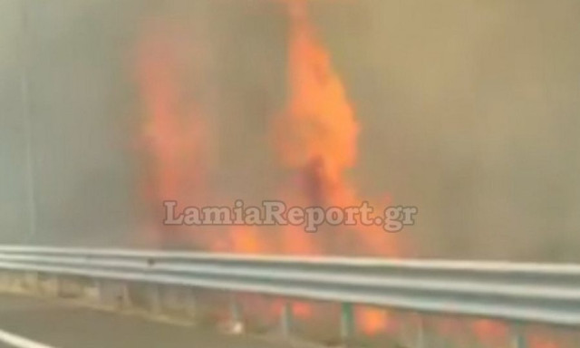 Φθιώτιδα: Φωτιά στις Ράχες στην παλιά εθνική οδό - Χτύπησαν οι καμπάνες του χωριού