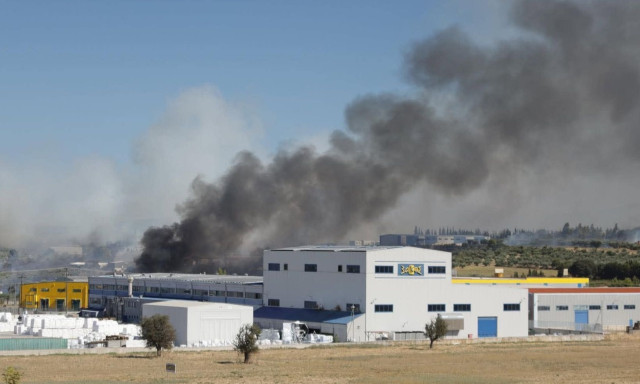 Τανάγρα: «Γυρνάμε το κεφάλι και βλέπουμε μία φωτιά, παιδάκια έκλαιγαν» - Μαρτυρία στο Newsbomb