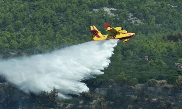 Υπό έλεγχο μέσα σε 15 λεπτά η πυρκαγιά στο Άγιο Όρος
