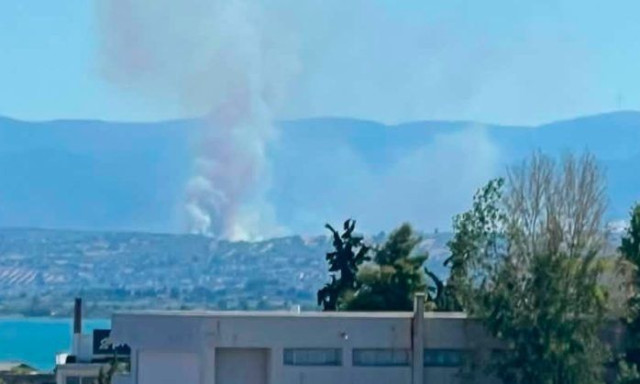 Φωτιά στην Εύβοια: Ενισχύθηκαν οι δυνάμεις – Συνεχίζεται η μάχη με τις φλόγες