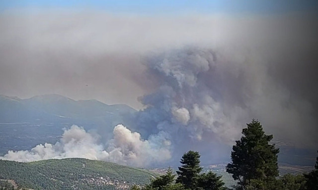 Φωτιές σε Κόνιτσα, Εύβοια, Αλεξανδρούπολη και Δράμα: Συνεχίζεται η μάχη – Νεότερη ενημέρωση