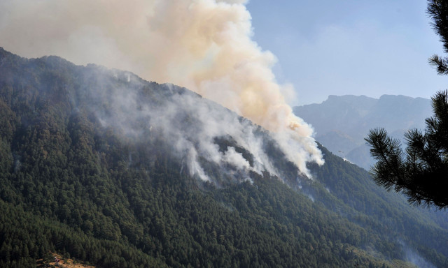 Φωτιά Κόνιτσα: Μάχη με τις αναζωπυρώσεις -  Στη χαράδρα του Αώου το βάρος της επιχείρησης