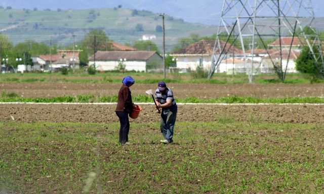 ΑΑΔΕ: Ξεκίνησε η υποβολή ενδικοφανών προσφυγών για αγροτικές ενισχύσεις του 2025