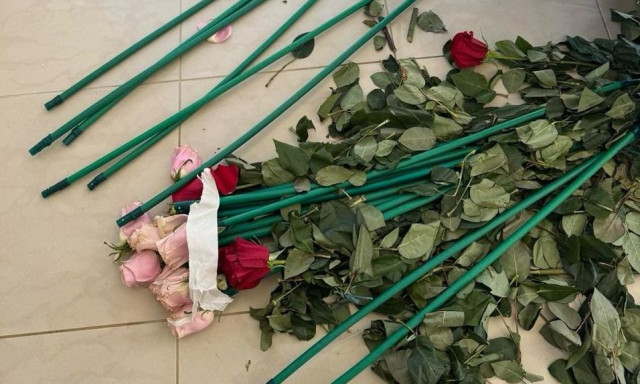 ΑΑΔΕ - Έκρυβαν 84 κιλά κοκαΐνης από την Κολομβία μέσα σε τριαντάφυλλα σε Μαραθώνα και Αρτέμιδα