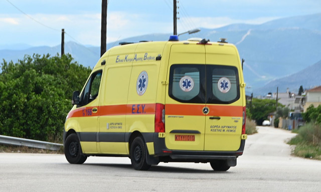 Τραγωδία στη Χαλκιδική: Νεκρός 65χρονος από πτώση δέντρου