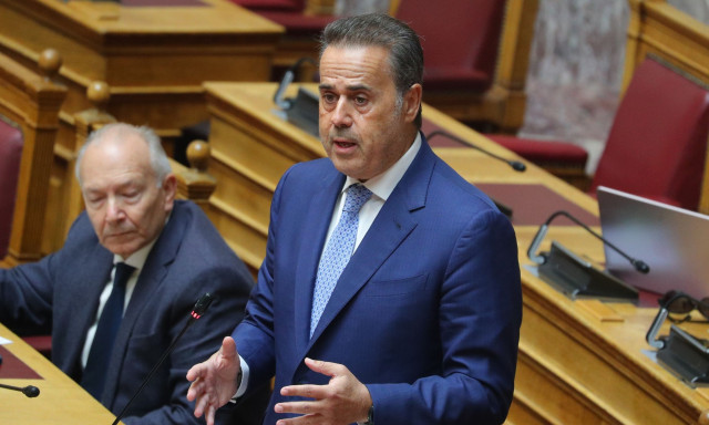 Παπασταύρου για δημοσίευμα Wall Street Journal: Δεν τέθηκε ποτέ ζήτημα πίεσης ή απειλής της χώρας