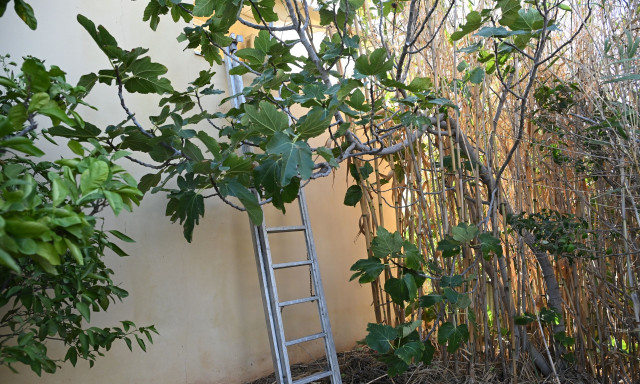 Λαύριο: Σε σοβαρή κατάσταση οι 2 τραυματίες μετά την επίθεση του 32χρονου - Χειρουργήθηκε ο 33χρονος