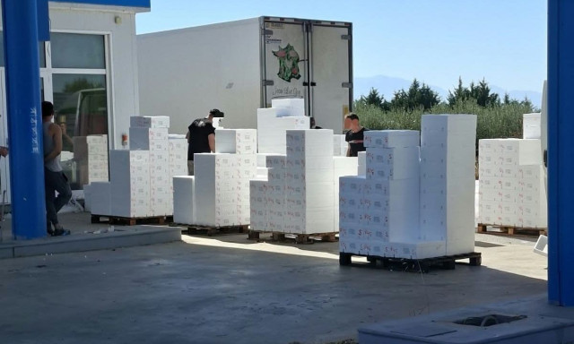 Θεσσαλονίκη: Έστησαν παράνομη ιχθυόσκαλα κοντά στο μπλόκο των ψαράδων
