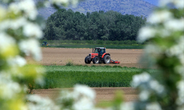 ΕΛΓΑ: Παράταση έως τις 30 Οκτωβρίου για την εξόφληση της ασφαλιστικής εισφοράς του 2025