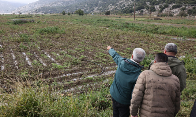 Κρήτη: Συνεχίζονται οι αυτοψίες σε κτήρια και υποδομές μετά την καταστροφική κακοκαιρία
