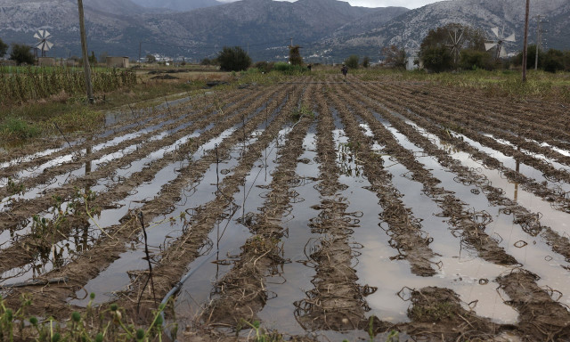 Λασίθι: Έως τις 19 Οκτωβρίου οι δηλώσεις παραγωγών για αποζημιώσεις εξαιτίας της κακοκαιρίας