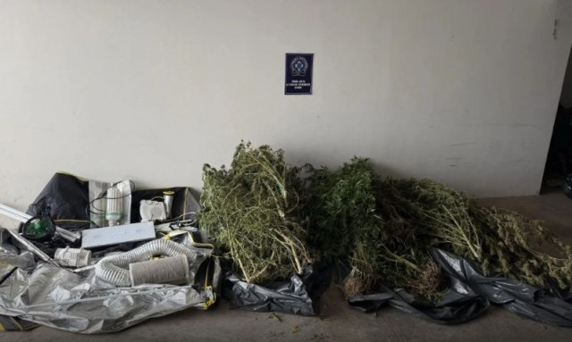 Κάλαμος: Είχαν στήσει εργοστάσιο κάνναβης στην αυλή σπιτιού - Συνελήφθησαν τρία άτομα