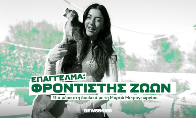 «Οι σχέσεις που δημιουργούμε με τα ζώα είναι σύνδεση εμπιστοσύνης -Που κάνει την απώλεια αβάστακτη»
