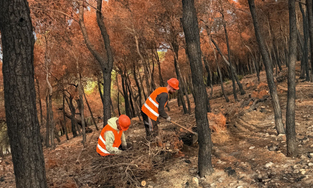 Από την αποκατάσταση στην πρόληψη: Πώς τα αντιδιαβρωτικά έργα προστατεύουν τις πυρόπληκτες περιοχές