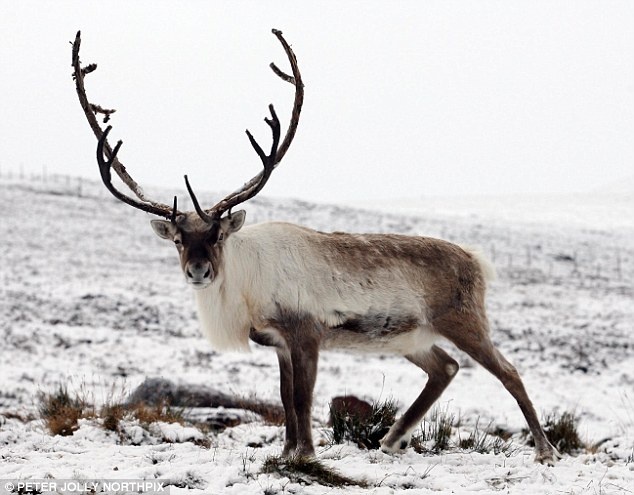 Ο χιονιάς έφτασε στην Βρετανία