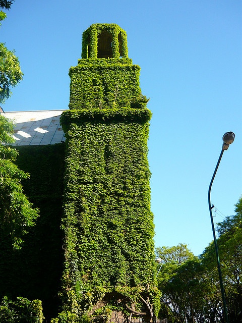 Μια πράσινη, παράξενη εκκλησία  