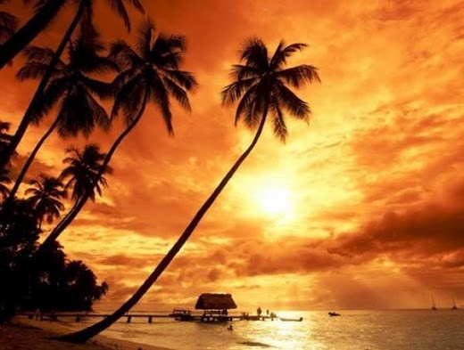 Οκτώ νησιά που πρέπει οπωσδήποτε να επισκεφτείς 