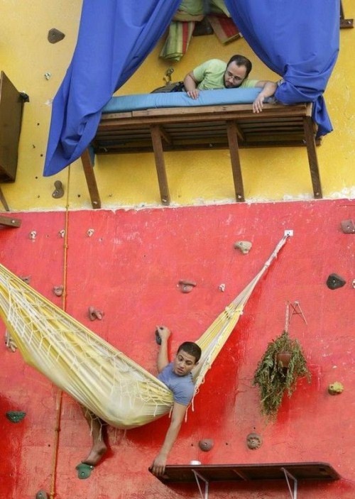 Ζουν σε έναν τοίχο 