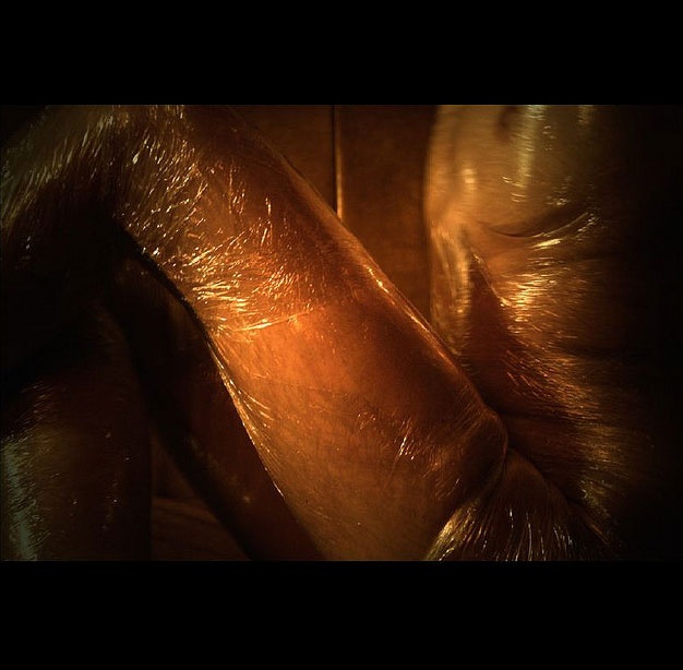 Erotica: #20. Σελοφάν