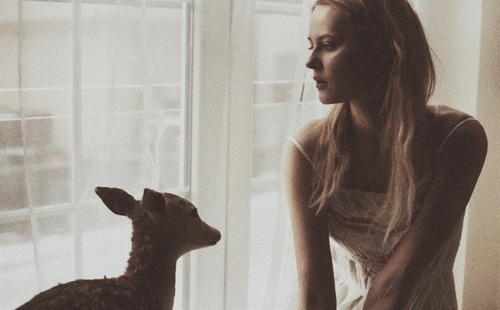 Erotica: #237. Το ελαφάκι