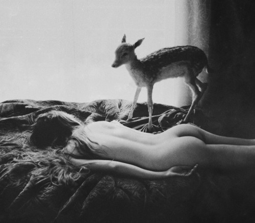 Erotica: #237. Το ελαφάκι