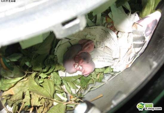 Δείτε τι βρήκε μέσα στην αχρησιμοποίητη μοτοσυκλέτα του! (pics)