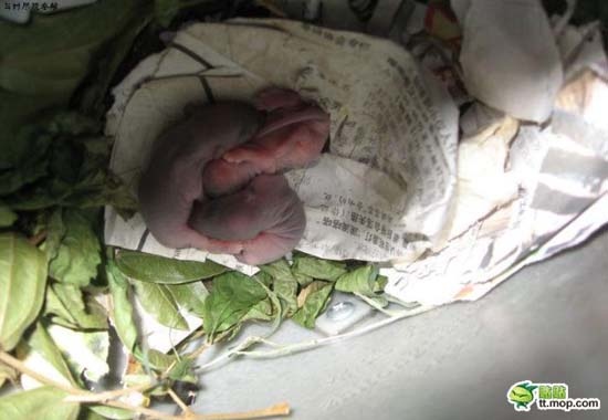 Δείτε τι βρήκε μέσα στην αχρησιμοποίητη μοτοσυκλέτα του! (pics)