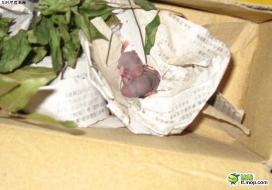 Δείτε τι βρήκε μέσα στην αχρησιμοποίητη μοτοσυκλέτα του! (pics)