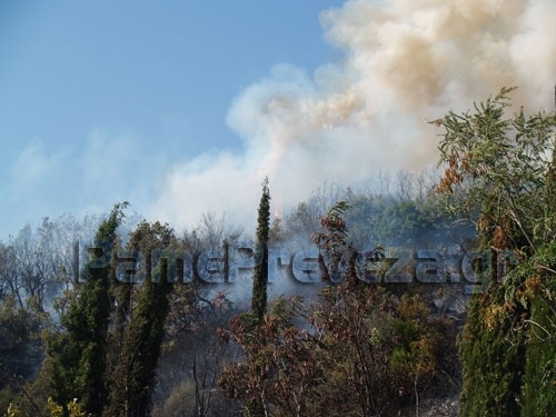 Πυρκαγιά στην Πρέβεζα – Τραυματίστηκε Υποπυραγός (ΒΙΝΤΕΟ – ΦΩΤΟ)