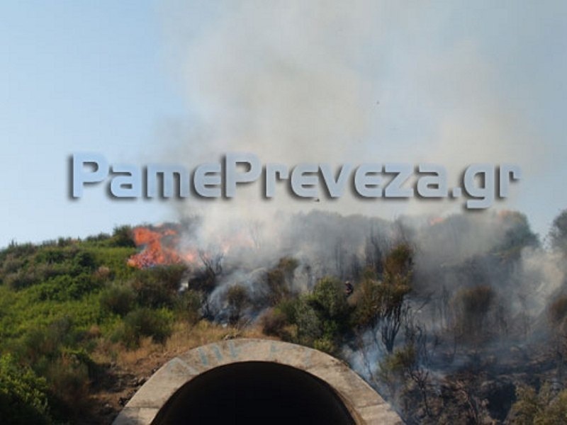 Πυρκαγιά στην Πρέβεζα – Τραυματίστηκε Υποπυραγός (ΒΙΝΤΕΟ – ΦΩΤΟ)