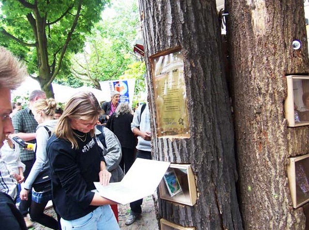 Δεν θα πιστεύετε τι έχει αυτό το δέντρο μέσα στον κορμό του!