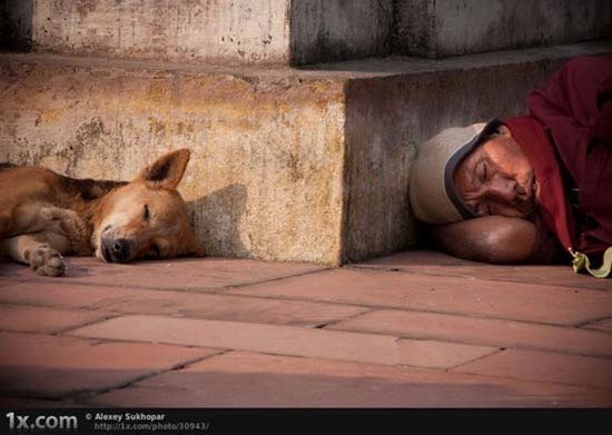 Tα πρόσωπα της φτώχειας (Συγκλονιστικές φωτογραφίες) 