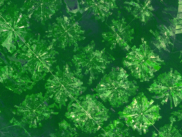 Δείτε αγροτικές καλλιέργειες από το διάστημα (pics)