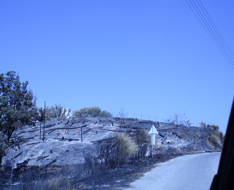 ΑΠΟΚΛΕΙΣΤΙΚΕΣ ΦΩΤΟΓΡΑΦΙΕΣ: Κρανίου τόπος στη Μεγαλόπολη Αρκαδίας!