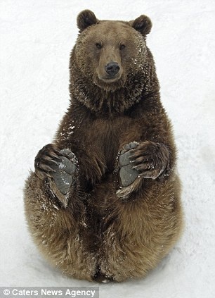 Τα ζώα που χορεύουν (pics) 