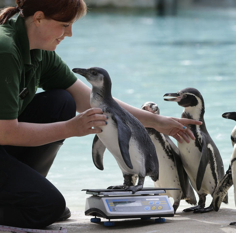 Οι πιο γλυκές φωτογραφίες ζώων της εβδομάδας που πέρασε