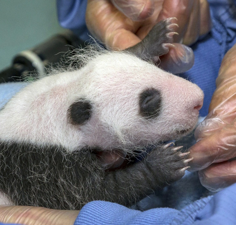 Οι πιο γλυκές φωτογραφίες ζώων της εβδομάδας που πέρασε