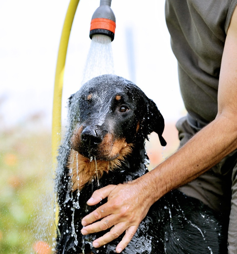 Οι πιο γλυκές φωτογραφίες ζώων της εβδομάδας που πέρασε
