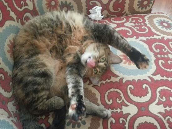 ΔΕΙΤΕ: Οι πιο αστείες φωτογραφίες που κυκλοφορούν