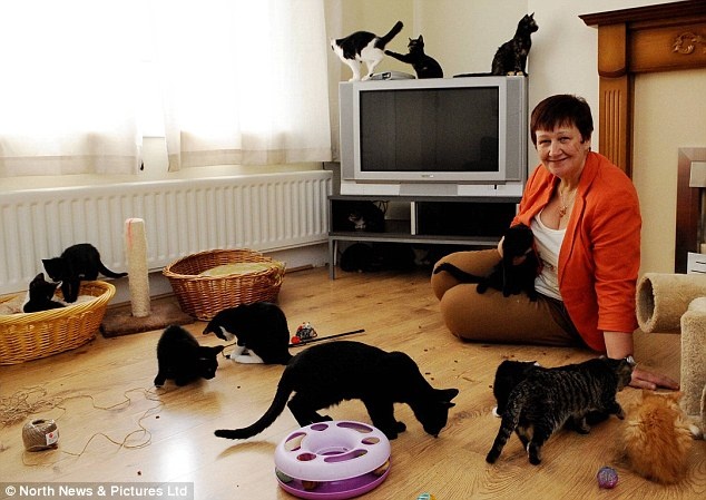 Η γυναίκα που ζει στο ίδιο σπίτι με 30 γάτες (pics)