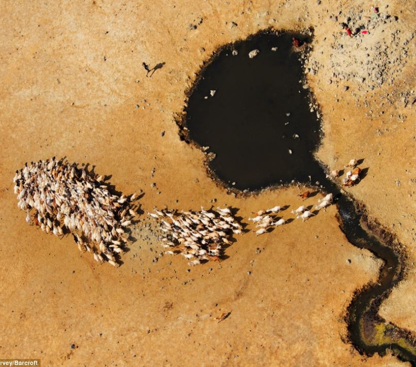 Εντυπωσιακές εναέριες φωτογραφίες από την άγρια ζωή στην Αφρική