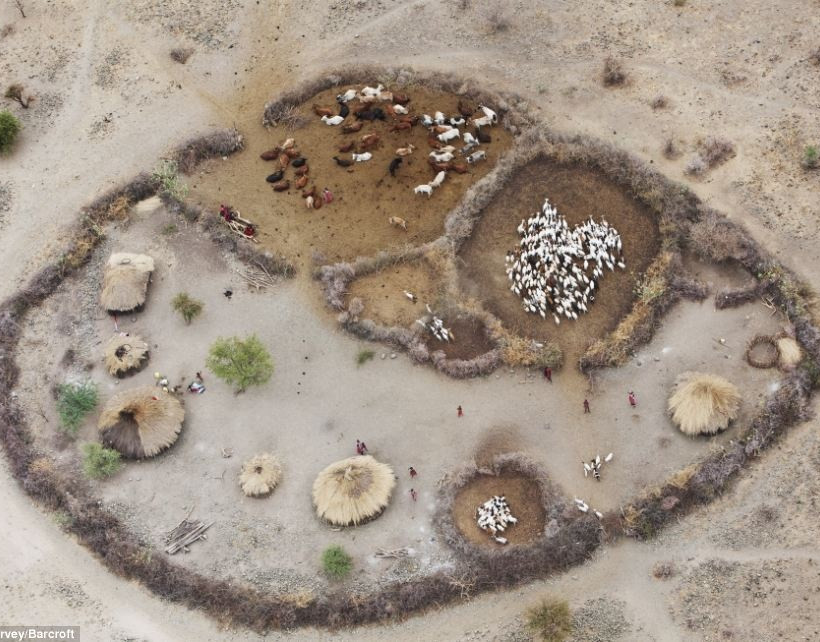 Εντυπωσιακές εναέριες φωτογραφίες από την άγρια ζωή στην Αφρική